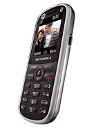 Best available price of Motorola WX288 in Mii
